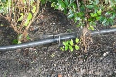 Garten Landschaftsbau Bewaesserungsanlage einbauen
