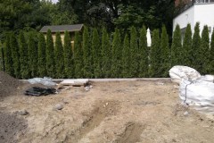 Garten Landschaftsbau Hecke pflanzen