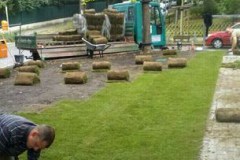 Garten Landschaftsbau Rollrasen verlegen