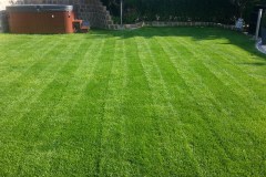 Rollrasen verlegen Schwielowsee
